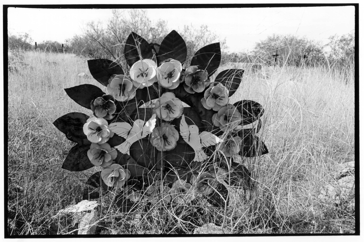 bracero camp